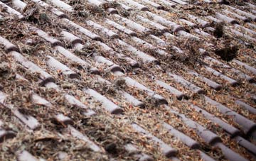 Plaistow Green roof cleaning companies