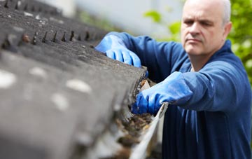 cleaning and inspecting Plaistow Green roofs